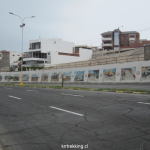 ARICA_0595