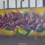 MACUL DSC07679