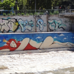 MAPOCHO DSC09784