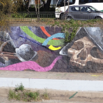 MAPOCHO DSC03012