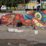 MAPOCHO DSC03084